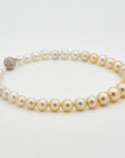 South Sea pearl necklace Golden Signature