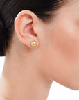 Ogon no hikari Golden Keshi South Sea Pearl Earrings